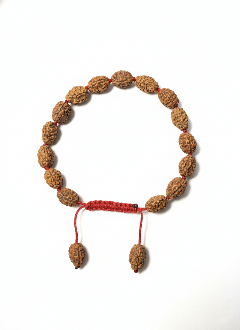 3 Mukhi Indonesian Rudraksha Bracelet for Confidence & Growth