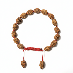 3 Mukhi Indonesian Rudraksha Bracelet for Confidence & Growth