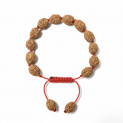 4 Mukhi Indonesian Rudraksha Bracelet for Knowledge & Focus