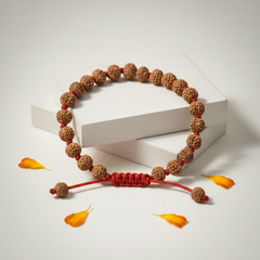 6 Mukhi Indonesian Rudraksha Bracelet for Focus & Willpower