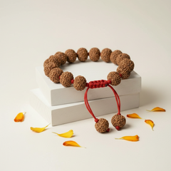 7 Mukhi Indonesian Rudraksha Bracelet for Wealth & Prosperity