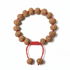 7 Mukhi Indonesian Rudraksha Bracelet for Wealth & Prosperity