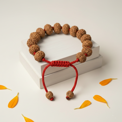 8 Mukhi Indonesian Rudraksha Bracelet for Success & Protection
