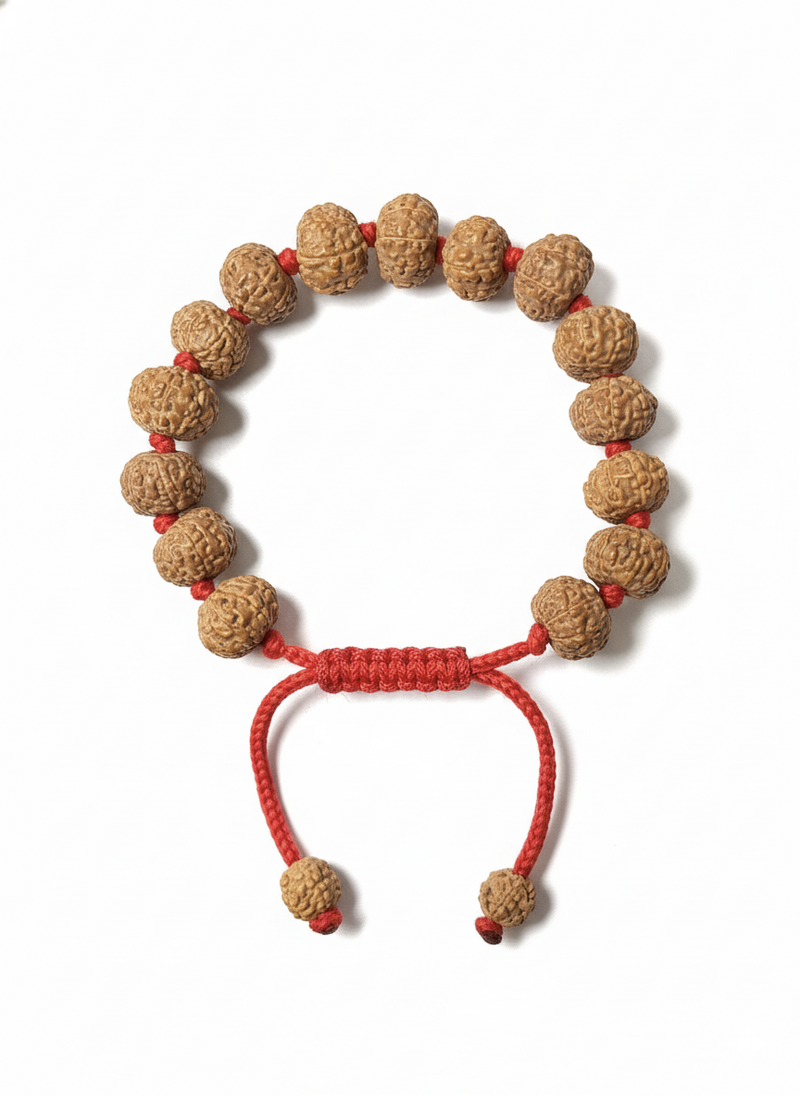 8 Mukhi Indonesian Rudraksha Bracelet for Success & Protection