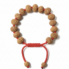 8 Mukhi Indonesian Rudraksha Bracelet for Success & Protection