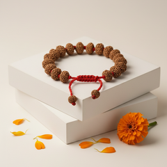 9 Mukhi Indonesian Rudraksha Bracelet for Courage & Energy