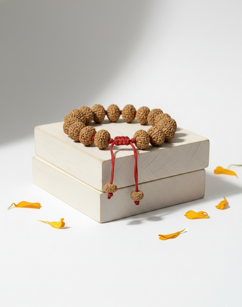 10 Mukhi Indonesian Rudraksha Bracelet for Protection & Calm