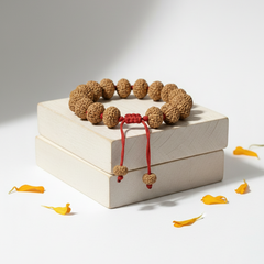 10 Mukhi Indonesian Rudraksha Bracelet for Protection & Calm