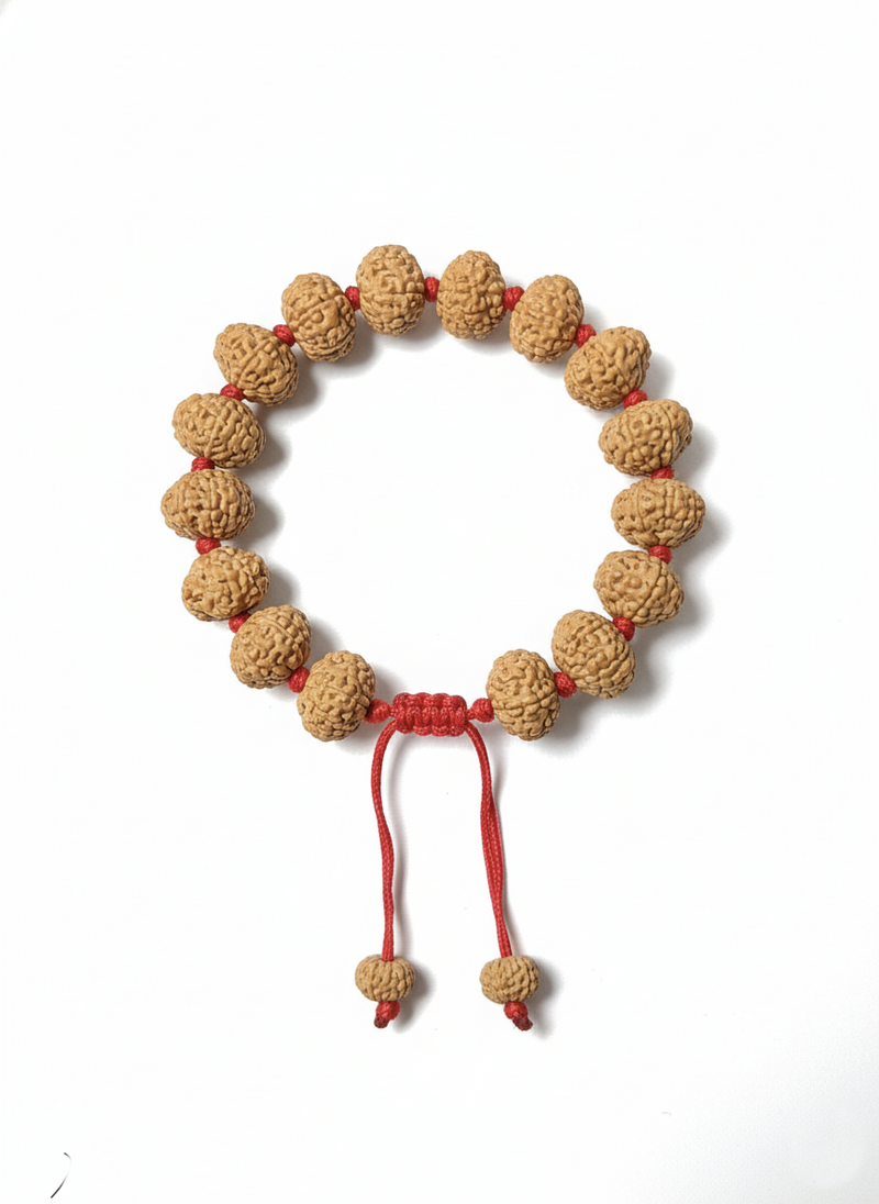 10 Mukhi Indonesian Rudraksha Bracelet for Protection & Calm