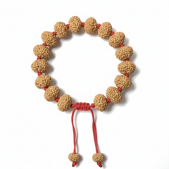 10 Mukhi Indonesian Rudraksha Bracelet for Protection & Calm