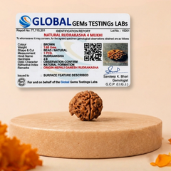 Ganesh Mukhi Nepali Rudraksha Bead GGTL Certified