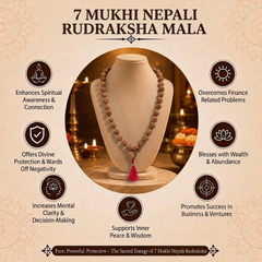 7 Mukhi Nepali Rudraksha Beads Mala