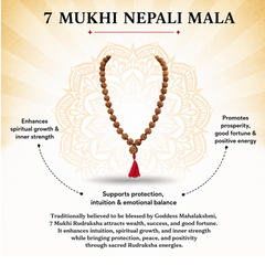 7 Mukhi Nepali Rudraksha Beads Mala