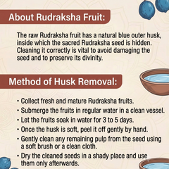 Nepal Mixed Rudraksh Fal Natural Mixed Mukhi Spiritual Beads