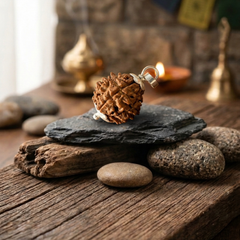 3 Mukhi Nepali Rudraksha with German Silver Cap for Confidence
