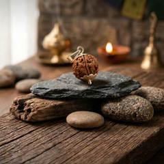 5 Mukhi Nepali Rudraksha with German Silver Cap for Peace