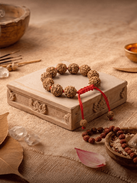3 Mukhi Nepali Rudraksha Bracelet for Confidence & Positivity