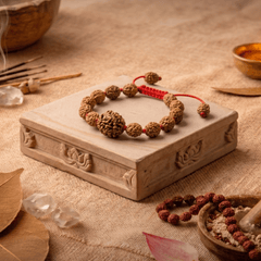 3 Mukhi Nepali Rudraksha Bracelet for Confidence & Growth