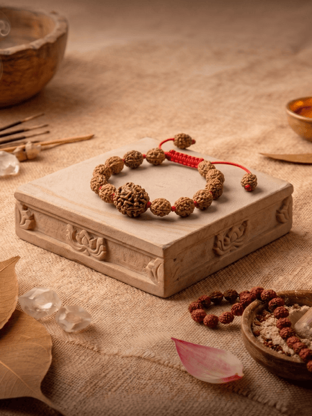3 Mukhi Nepali Rudraksha Bracelet for Confidence & Growth