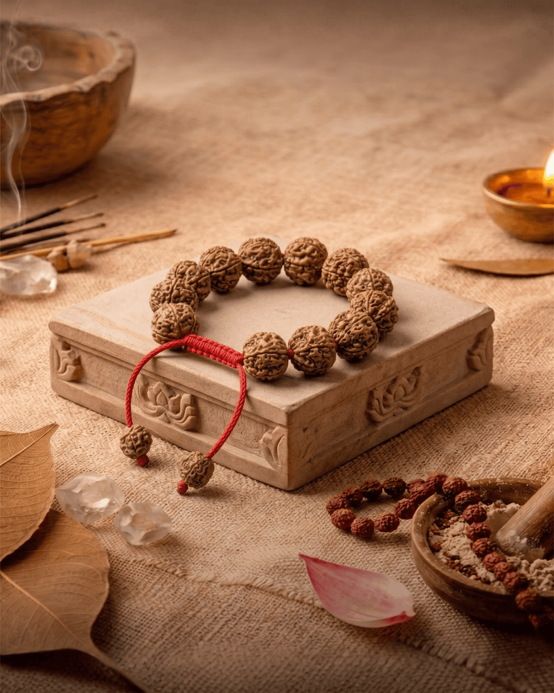 6 Mukhi Nepali Rudraksha Bracelet for Focus & Willpower