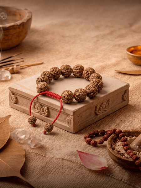 6 Mukhi Nepali Rudraksha Bracelet for Focus & Willpower