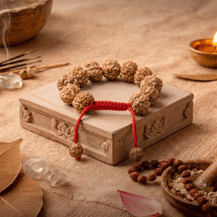 7 Mukhi Nepali Rudraksha Bracelet for Wealth & Prosperity