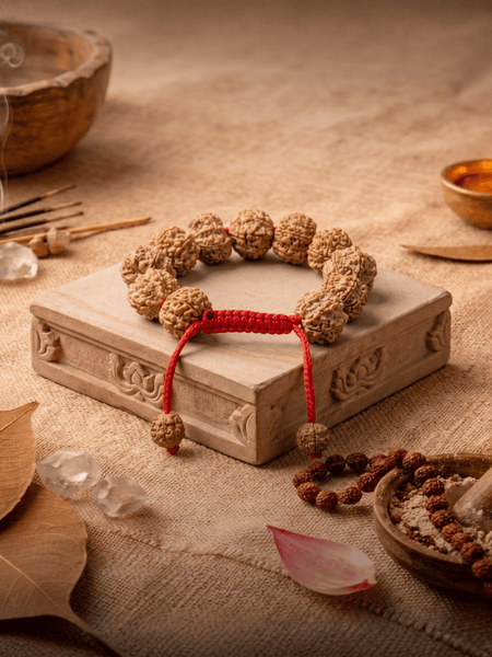 7 Mukhi Nepali Rudraksha Bracelet for Wealth & Prosperity