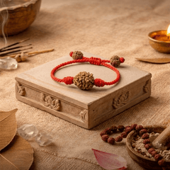 3 Mukhi Nepali Rudraksha Bracelet for Positivity & Peace