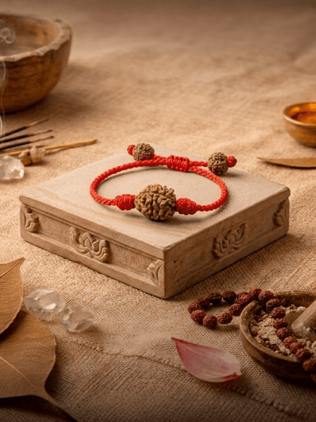 3 Mukhi Nepali Rudraksha Bracelet for Positivity & Peace