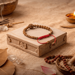 3 Mukhi Nepali + Indonesian Rudraksha Bracelet for Positivity