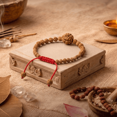 5 Mukhi Nepali + Indonesian Rudraksha Bracelet for Peace