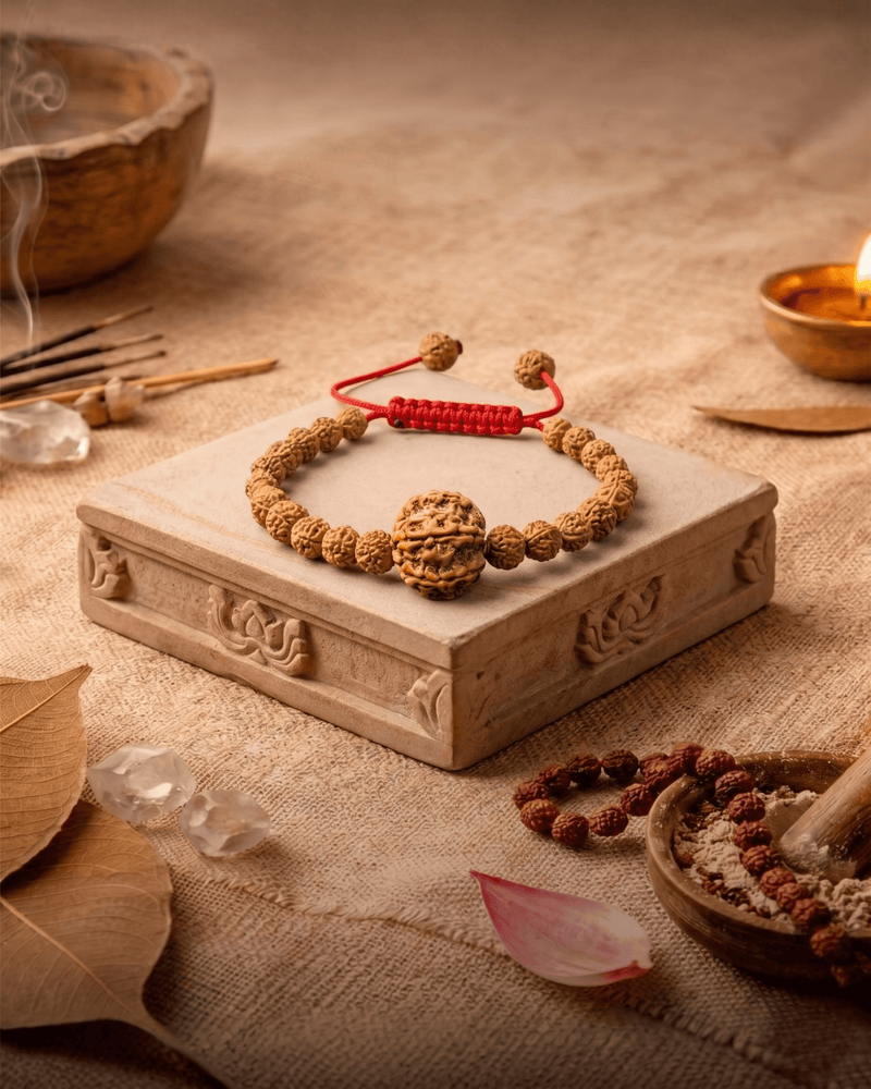6 Mukhi Nepali + Indonesian Rudraksha Bracelet for Focus