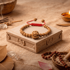6 Mukhi Nepali + Indonesian Rudraksha Bracelet for Focus