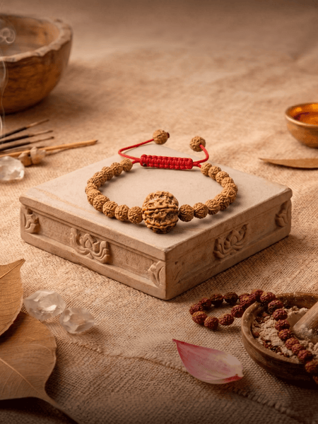 6 Mukhi Nepali + Indonesian Rudraksha Bracelet for Focus