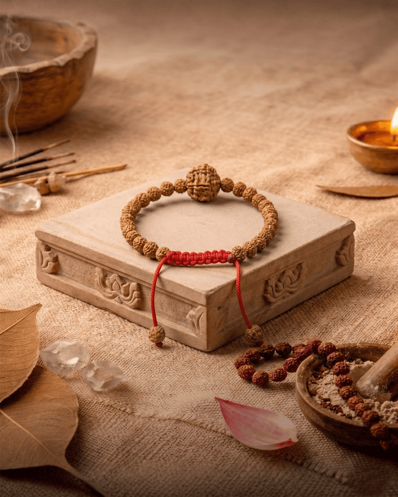 7 Mukhi Nepali + Indonesian Rudraksha Bracelet for Prosperity