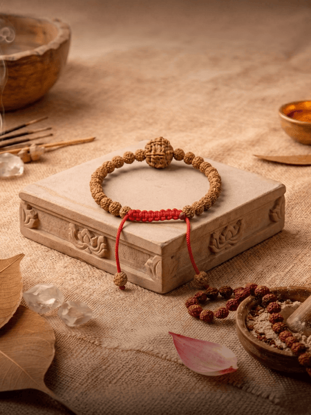 7 Mukhi Nepali + Indonesian Rudraksha Bracelet for Prosperity