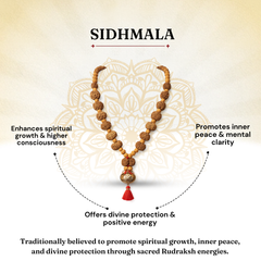 Siddh Mala Nepali 1 to 14 Mukhi for Spiritual Growth