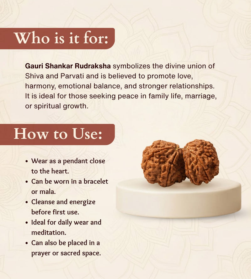 Nepali Gauri Shankar Rudraksha for Harmony & Spiritual Growth