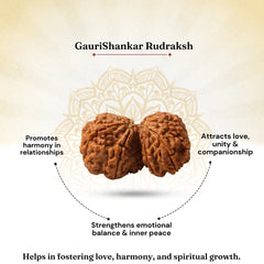 Nepali Gauri Shankar Rudraksha for Harmony & Spiritual Growth
