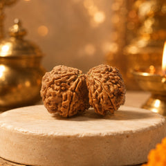 Nepali Gauri Shankar Rudraksha for Harmony & Spiritual Growth