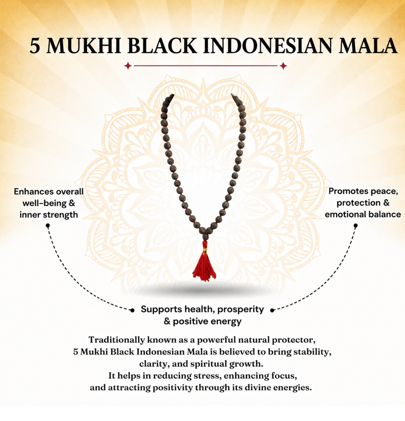 5 Mukhi Indonesian Black Rudraksha Mala in Red Thread